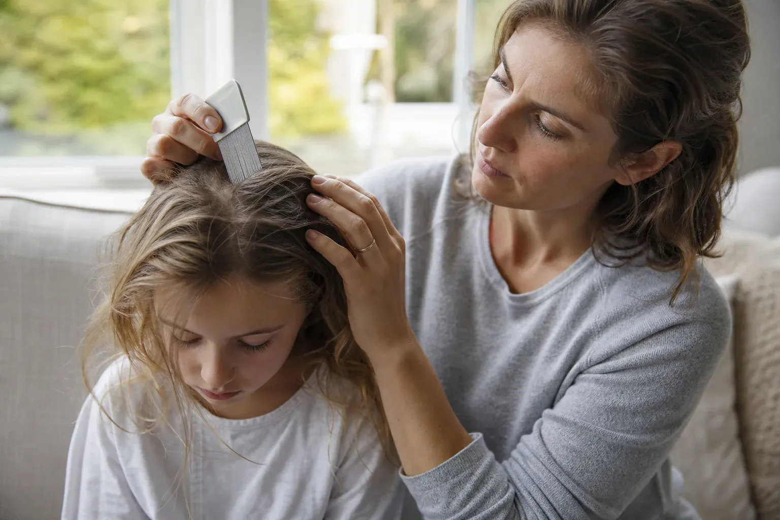 Un parent examine minutieusement les cheveux d’un enfant avec un peigne fin, près d’une fenêtre lumineuse dans un intérieur réel.