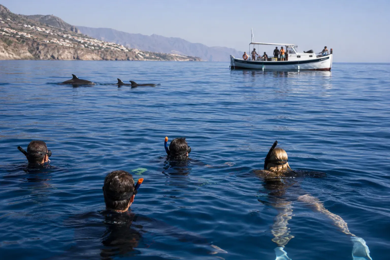 Un groupe de nageurs en surface près d’un bateau de guide, avec des dauphins sauvages visibles à distance dans une mer calme et claire.