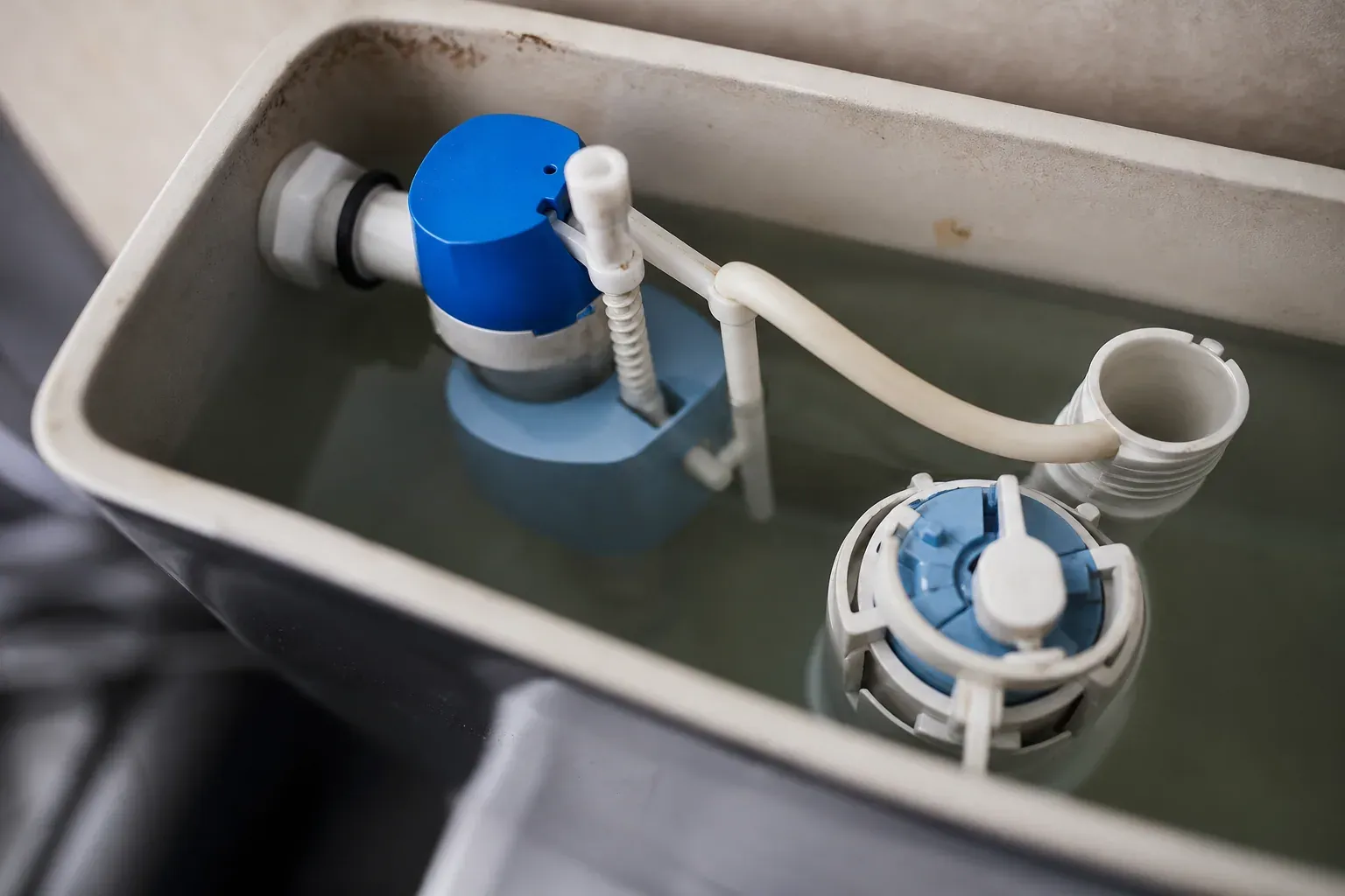 Intérieur ouvert d'un réservoir de chasse d'eau de toilettes, avec le mécanisme du flotteur et du clapet visible dans l'eau.